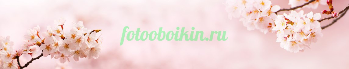 Фартук для кухни № 4531