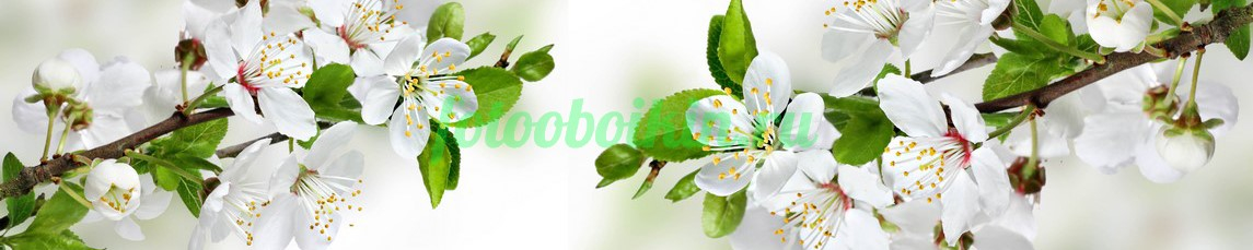 Фартук для кухни № 4534