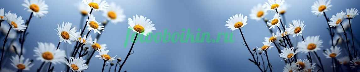 Фартук для кухни № 4537