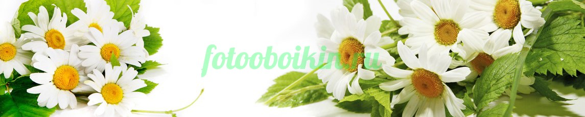 Фартук для кухни № 4541