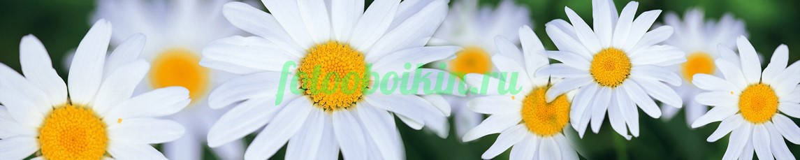 Фартук для кухни № 4542