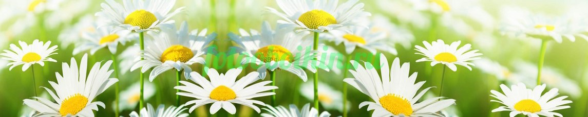 Фартук для кухни № 4543