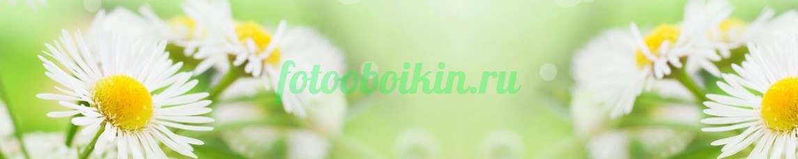 Фартук для кухни № 4544
