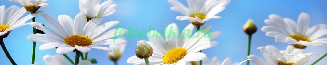 Фартук для кухни № 4547