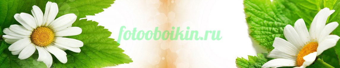 Фартук для кухни № 4549