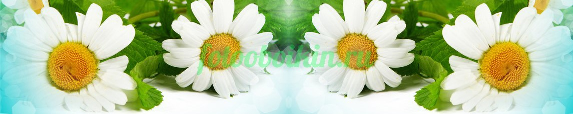 Фартук для кухни № 4550
