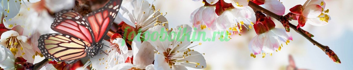 Фартук для кухни № 4592