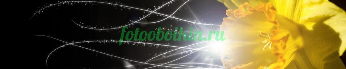 Фартук для кухни № 4594