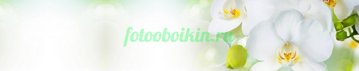 Фартук для кухни № 4608