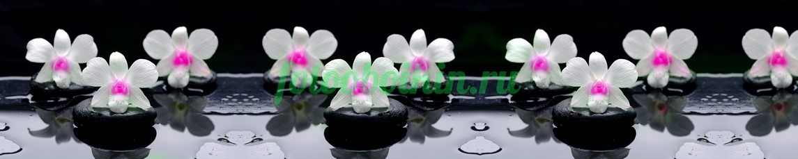 Фартук для кухни № 4612
