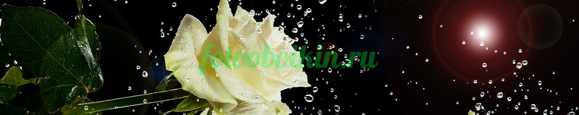 Фартук для кухни № 4617