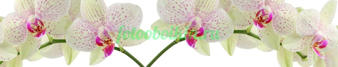 Фартук для кухни № 4618