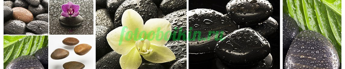 Фартук для кухни № 4626