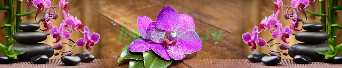 Фартук для кухни № 4628