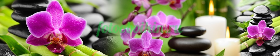 Фартук для кухни № 4630