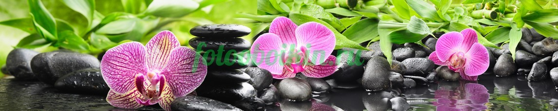Фартук для кухни № 4631