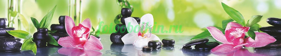 Фартук для кухни № 4634