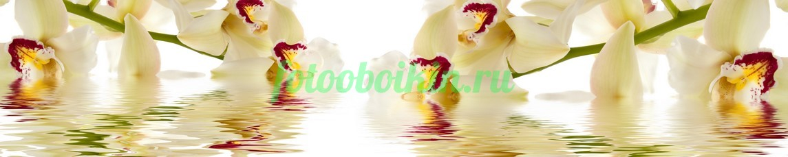 Фартук для кухни № 4635