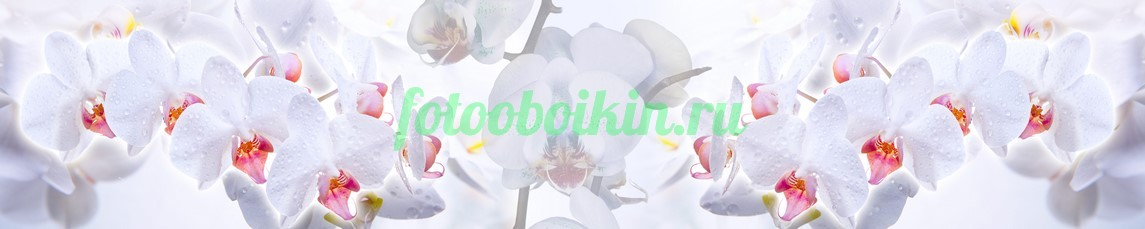 Фартук для кухни № 4636