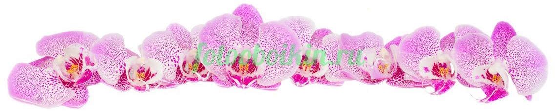 Фартук для кухни № 4639