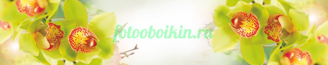 Фартук для кухни № 4641