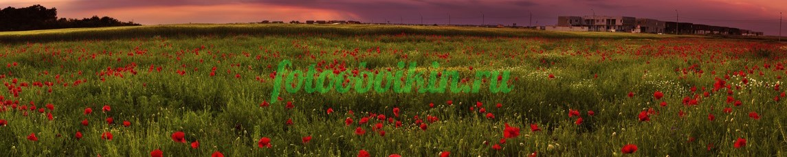 Фартук для кухни № 4644