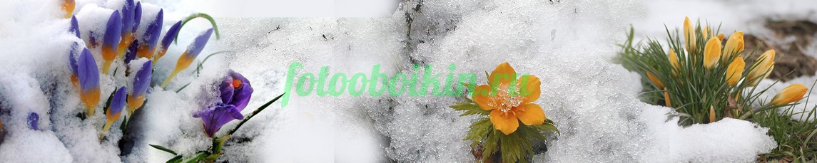 Фартук для кухни № 4646
