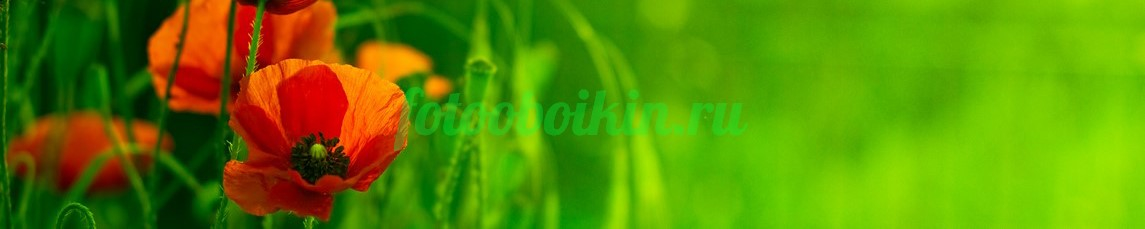 Фартук для кухни № 4648