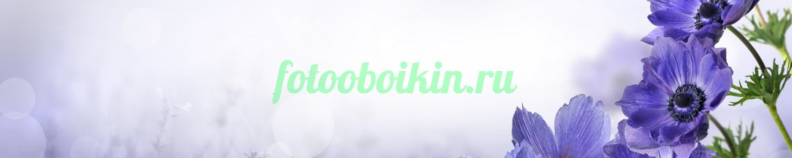 Фартук для кухни № 4649