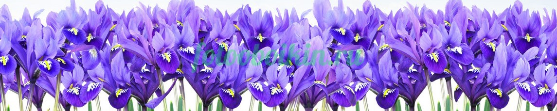 Фартук для кухни № 4650