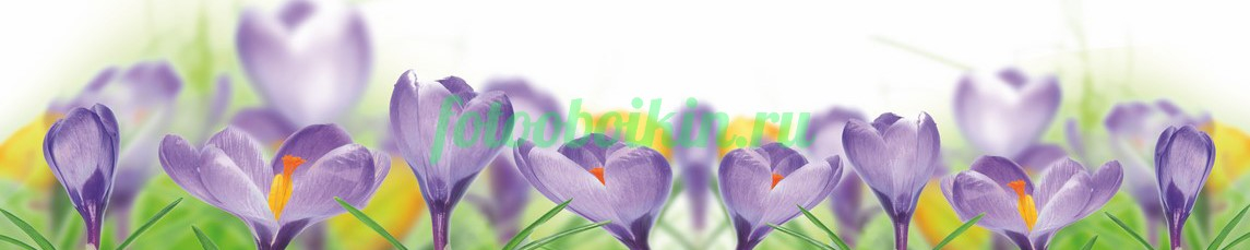 Фартук для кухни № 4652