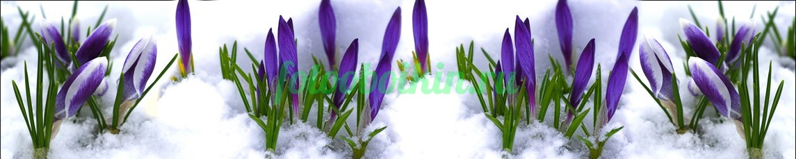 Фартук для кухни № 4654