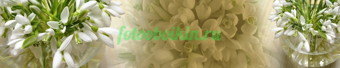 Фартук для кухни № 4655