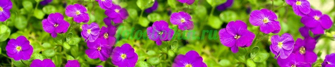 Фартук для кухни № 4656