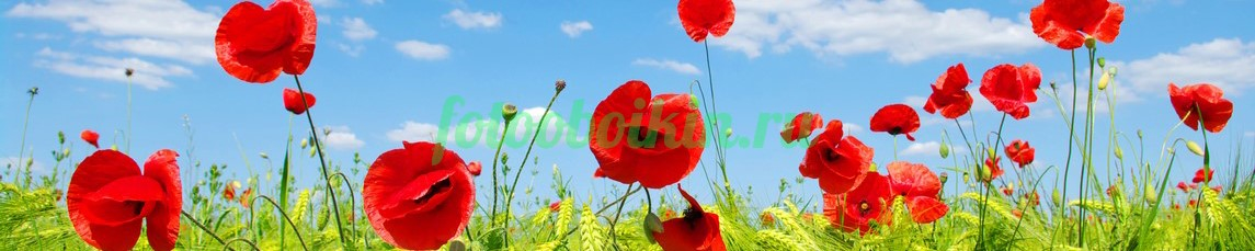 Фартук для кухни № 4659