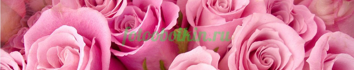 Фартук для кухни № 4662