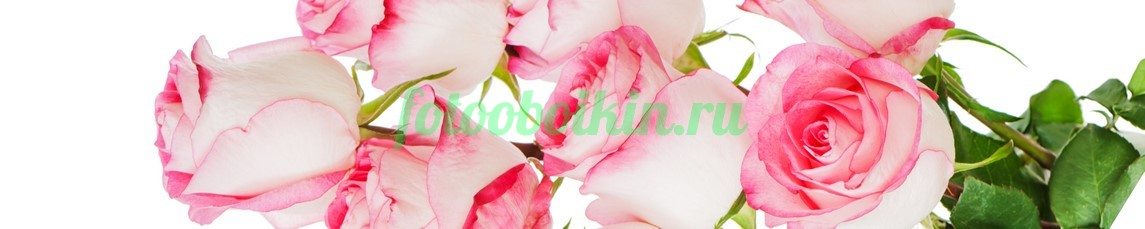 Фартук для кухни № 4663