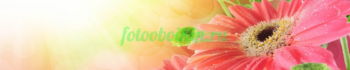 Фартук для кухни № 4665