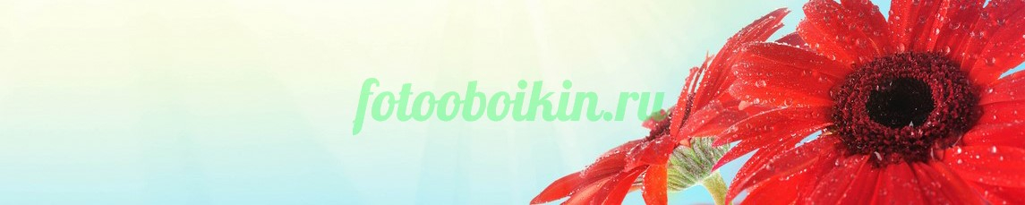 Фартук для кухни № 4666