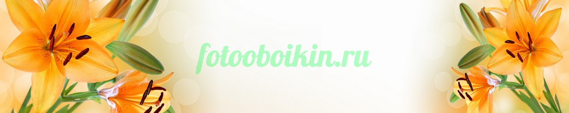 Фартук для кухни № 4667