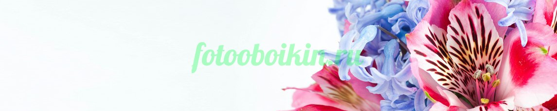 Фартук для кухни № 4668