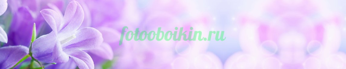 Фартук для кухни № 4669