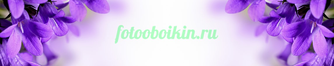 Фартук для кухни № 4672