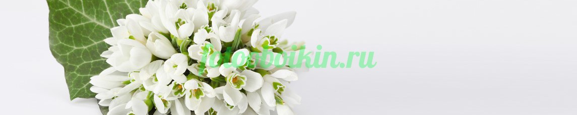 Фартук для кухни № 4674