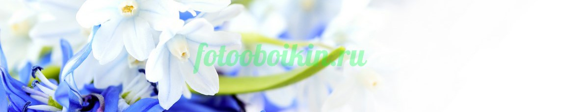 Фартук для кухни № 4675