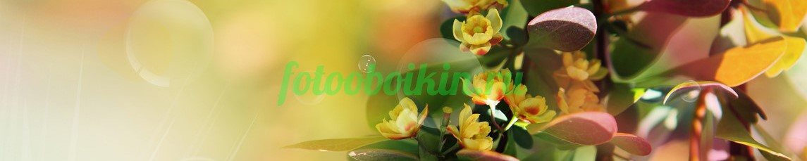 Фартук для кухни № 4676