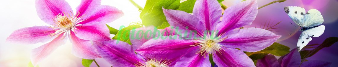 Фартук для кухни № 4677