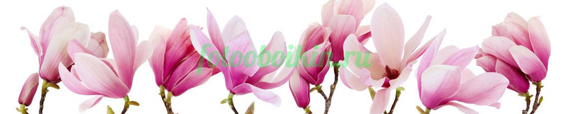 Фартук для кухни № 4680