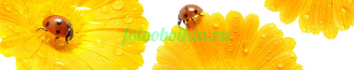 Фартук для кухни № 4698