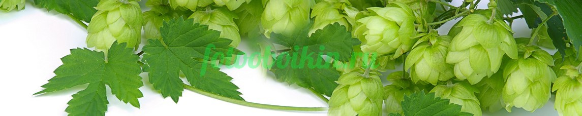 Фартук для кухни № 4734